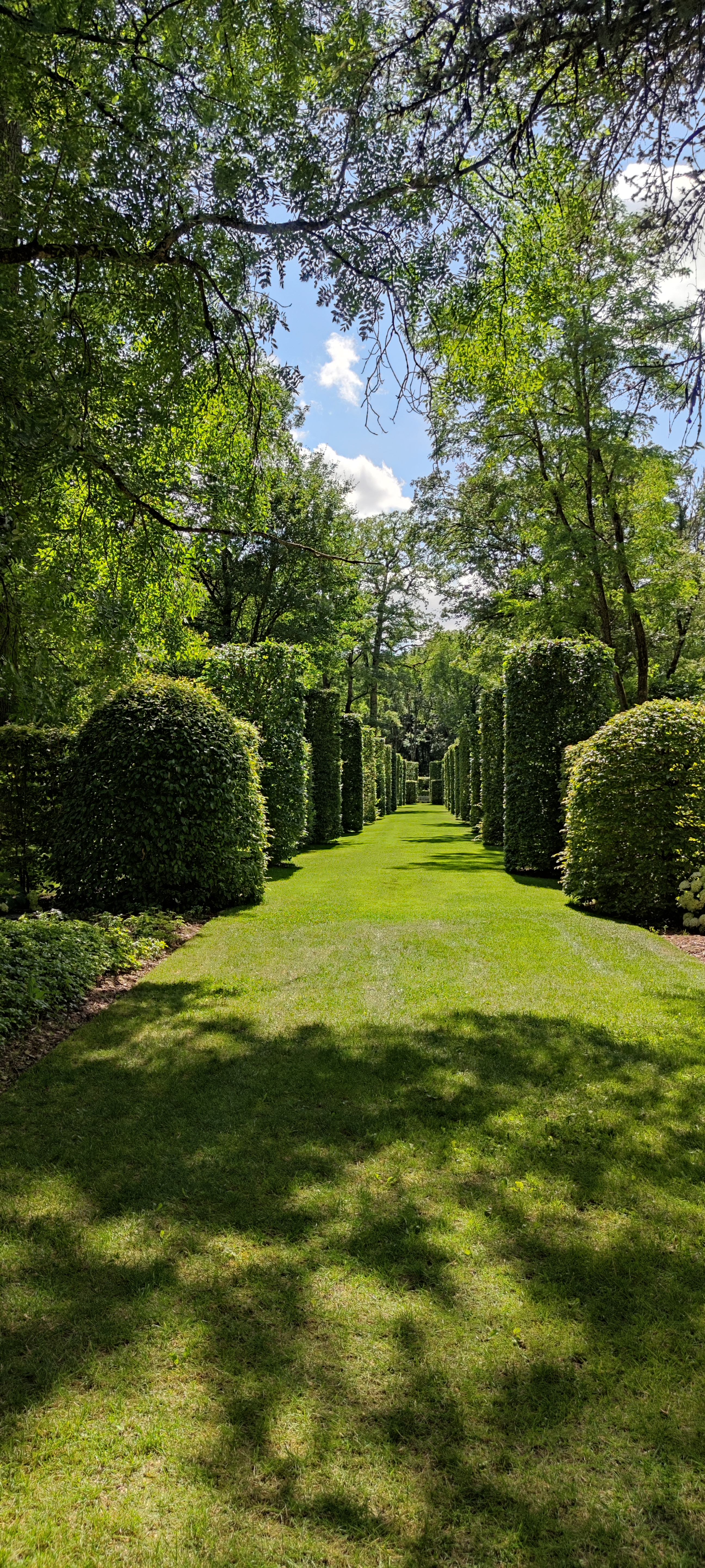 Photo n° 4 de l'avis de Bérengère.H fait le 13/07/2023 à 16:21