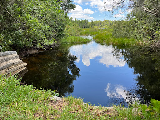 Park «Lake Park», reviews and photos, 17302 N Dale Mabry Hwy, Lutz, FL 33548, USA