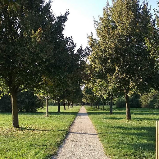 Bosco della Giretta