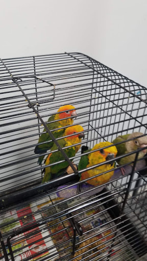 Pet Store «Adventure Birds of Bon Aqua», reviews and photos, 9600 TN-46, Bon Aqua, TN 37025, USA
