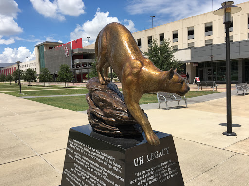 Stadium «TDECU Stadium», reviews and photos, 3875 Holman St, Houston, TX 77004, USA