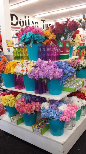 Dollar Store «Dollar Tree», reviews and photos, 725 Cherry Rd #130, Rock Hill, SC 29732, USA