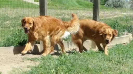 Dog Park «Grandview Dog Park», reviews and photos, 17500 E Quincy Ave, Aurora, CO 80015, USA