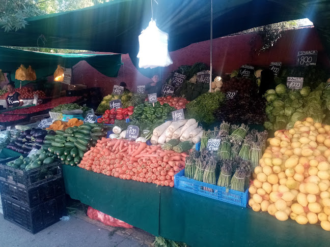 Feria los Aromo - Centro comercial