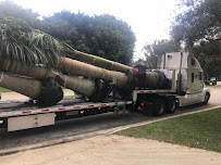 Landscape Creations by Scott Holston, Inc - Photo 4 - Car repair in Lake Worth Corridor, FL, West Palm Beach