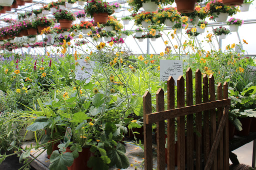 Florist «Farmstead Flowers», reviews and photos, 170 Cocalico Creek Rd, Ephrata, PA 17522, USA