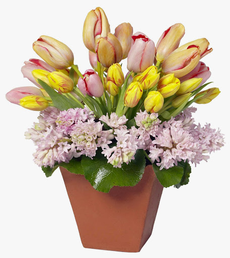 Florist «Carithers Flowers», reviews and photos, 1708 Powers Ferry Rd SE, Marietta, GA 30067, USA
