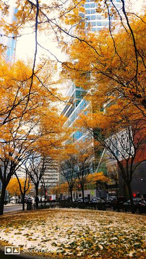 Hotel «Conrad New York», reviews and photos