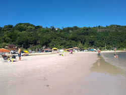 Praia do Forte'in fotoğrafı çok temiz temizlik seviyesi ile