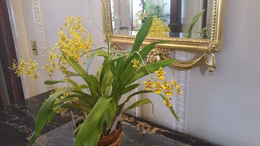 Art Museum «George Eastman Museum», reviews and photos, 900 East Ave, Rochester, NY 14607, USA