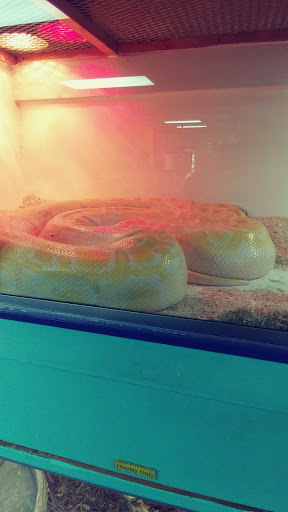 Pet Store «Tye-Dyed Iguana - Reptiles», reviews and photos, 1905 W U.S. 50, Fairview Heights, IL 62208, USA