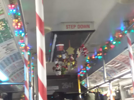 Water Park «Niles Prk District Oasis Waterpark», reviews and photos, 7877 N Milwaukee Ave, Niles, IL 60714, USA