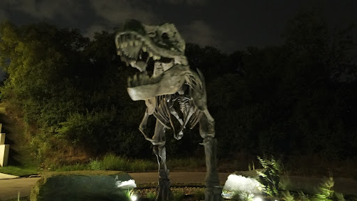 Hobby Store «Vivid Aerial Drones & RC», reviews and photos, 4230 Westcap Rd, Whites Creek, TN 37189, USA