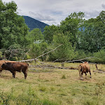 Photo n°4 de l'avis de Danny.. fait le 06/07/2021 à 09:31 sur le  Käfer Gut Kaltenbrunn à Gmund am Tegernsee