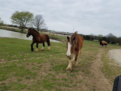 Zoo «Tupelo Buffalo Park & Zoo», reviews and photos, 2272 Coley Rd, Tupelo, MS 38801, USA