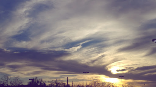 Movie Theater «AMC First Colony 24», reviews and photos, 3301 Town Center Blvd, Sugar Land, TX 77479, USA