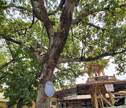 Wat Raikotonsamron photo