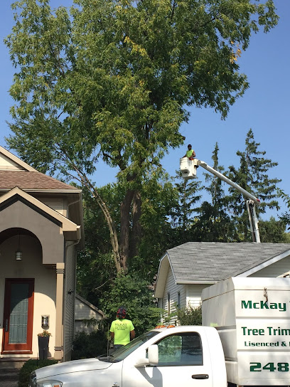 McKay Tree Specialists