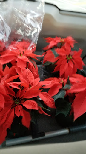 Hardware Store «Orchard Supply Hardware», reviews and photos, 3425 E Colorado Blvd, Pasadena, CA 91107, USA