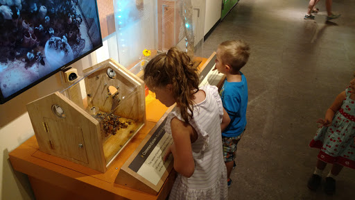 Animal Protection Organization «Butterfly Pavilion», reviews and photos, 6252 W 104th Ave, Westminster, CO 80020, USA