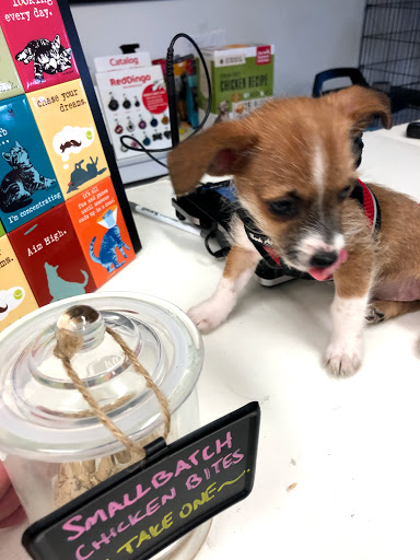 Pet Supply Store «Sonoma Pet and Aquatics», reviews and photos, 201 W Napa St #7, Sonoma, CA 95476, USA