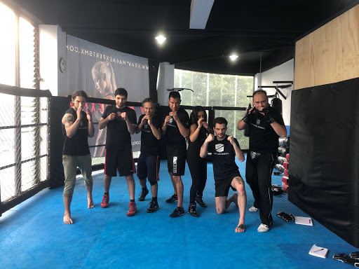 Krav Maga Experts