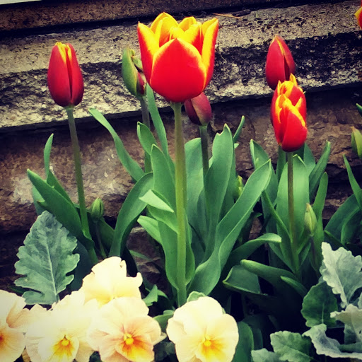 Park «Lake Boren Park», reviews and photos, 13058 SE 84th Way, Newcastle, WA 98056, USA