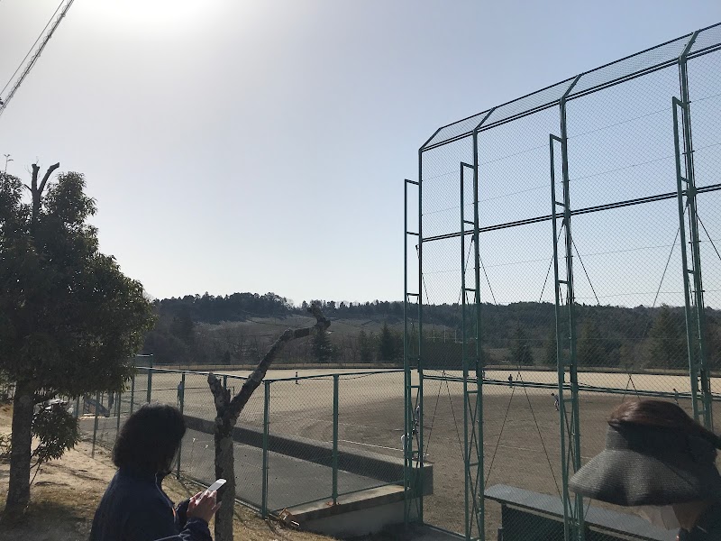 奈良大学野球場