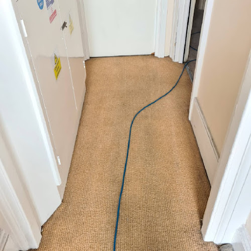 Reviews of ONYX Carpet Cleaning in Brighton - Laundry service