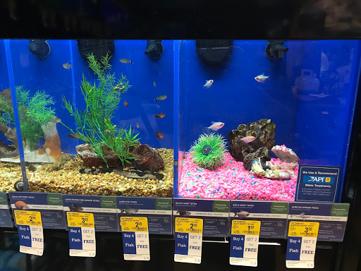 Pet Supply Store «PetSmart», reviews and photos, 131 Town Center Rd, King of Prussia, PA 19406, USA
