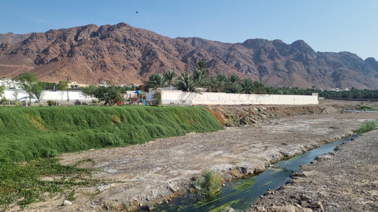 Photo n° 3 de l'avis de Hajar.a fait le 26/11/2023 à 15:44