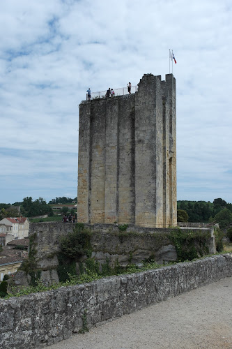 Bureau de Courtage Yves Nouvel à Saint-Émilion