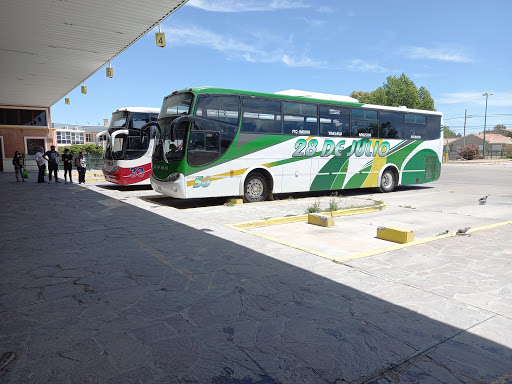 Puerto Madryn - Terminal de Omnibus