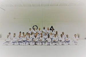 YR Jiu Jitsu Team image