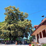 Photo n°1 de l'avis de Christoph.o fait le 27/06/2023 à 09:31 sur le  Gasthaus Traube Wielandsweiler à Tettnang