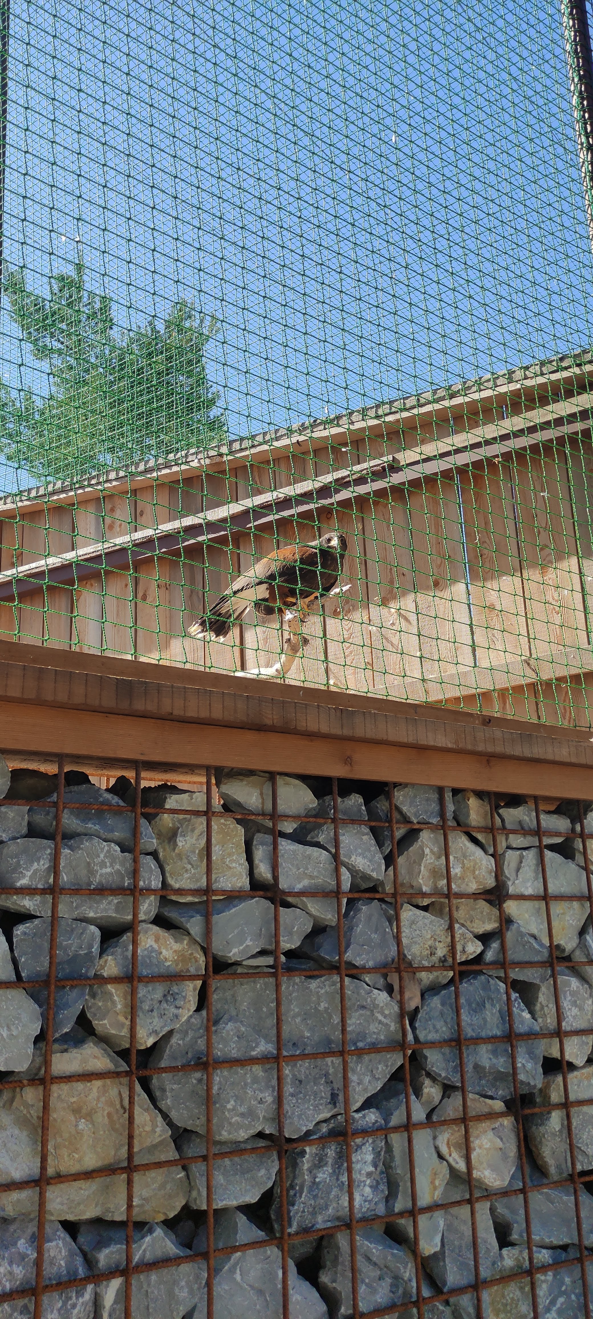 Photo n° 3 de l'avis de Alexia.a fait le 20/04/2023 à 07:36