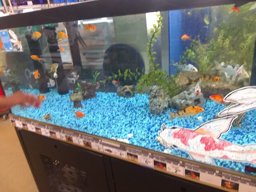 Pet Supply Store «Petco Animal Supplies», reviews and photos, 22000 Dulles Retail Plaza #110, Sterling, VA 20166, USA