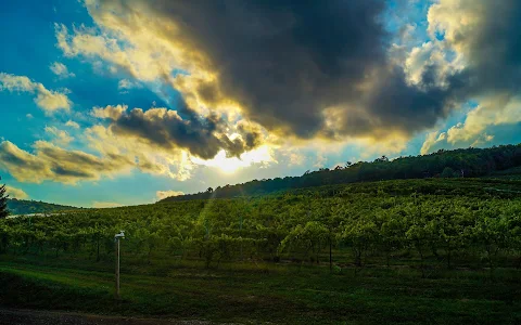Adams County Winery image