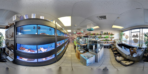 Pet Store «Fish Bowl Pets», reviews and photos, 1013 Hope St, Stamford, CT 06907, USA