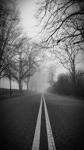 Golf Club «Cherry Valley Club», reviews and photos, Rockaway Ave, Garden City, NY 11530, USA