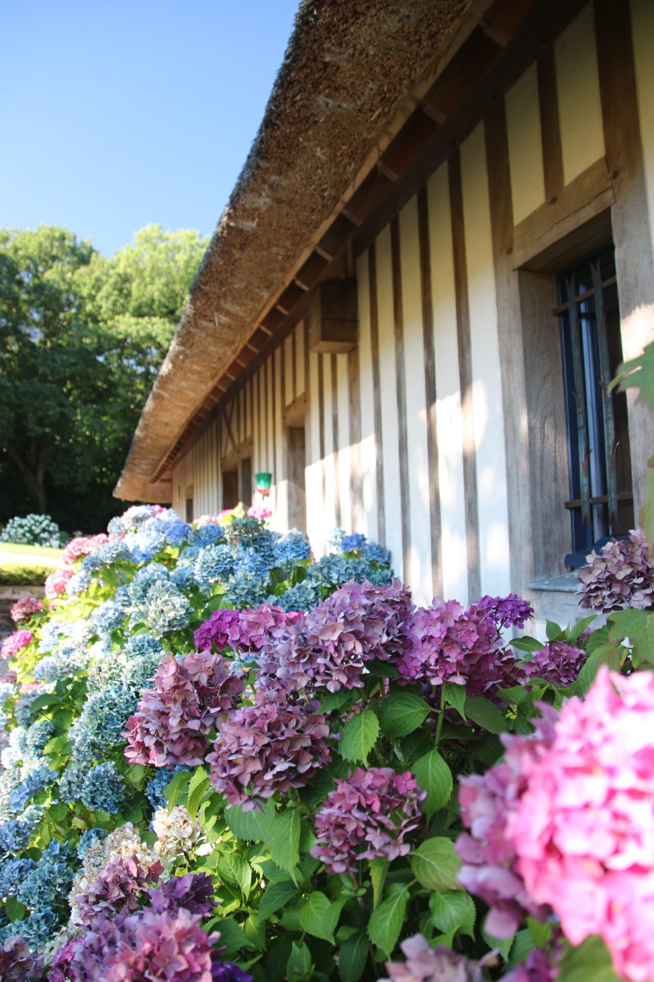 Photo n° 28 de l'avis de Rich. fait le 21/08/2018 à 18:53