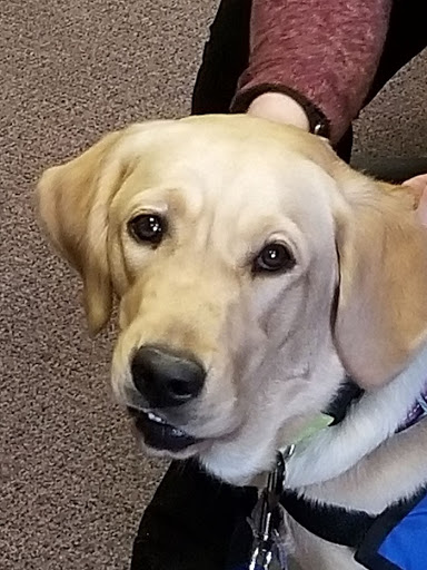 Employment Agency «Express Employment Professionals», reviews and photos, 7259 Fishers Landing Dr, Fishers, IN 46038, USA