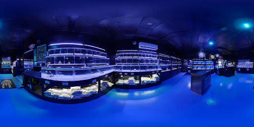 Aquarium «Aquatic Design & Development Group, LLC», reviews and photos, 1725 SW 17th St, Ocala, FL 34471, USA