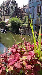 Photo n°83 de Crepe Stub à Colmar ()