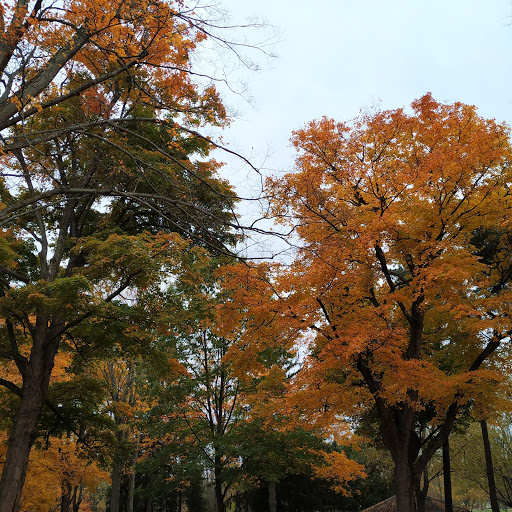 Park «North Olmsted Community Park», reviews and photos, 28114 Lorain Rd, North Olmsted, OH 44070, USA