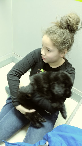 Pet Store «Petland», reviews and photos, 920 Hebron Rd, Heath, OH 43056, USA