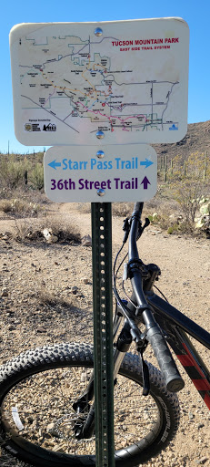 Bicycle Store «Trek Bicycle Store», reviews and photos, 1800 E Fort Lowell Rd #100, Tucson, AZ 85719, USA