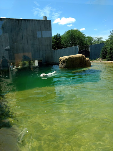 Zoo «Henry Vilas Zoo», reviews and photos, 702 S Randall Ave, Madison, WI 53715, USA