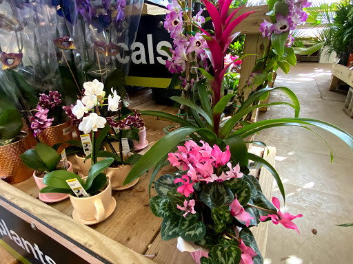 Home Improvement Store «The Home Depot», reviews and photos, 66 Mountain Rd, Glen Burnie, MD 21060, USA