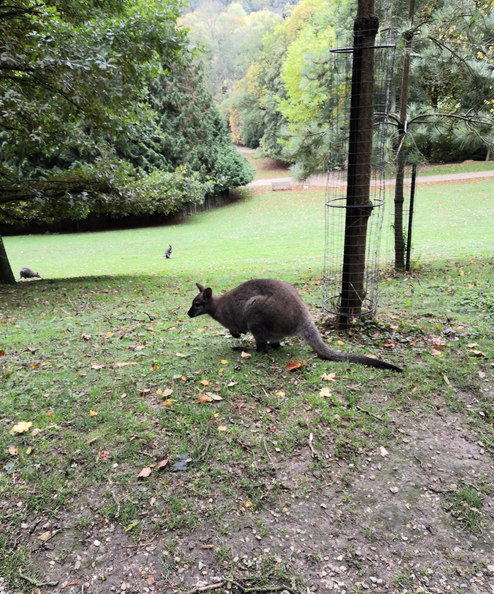 Photo n° 3 de l'avis de Thibault.� fait le 11/11/2021 à 11:36